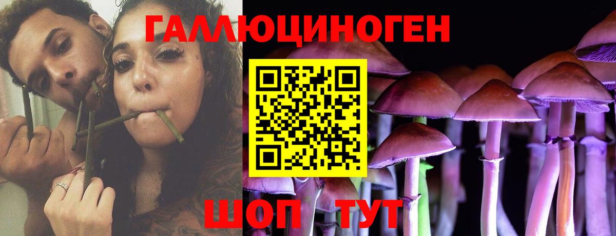 Ульяновск  Галлюциногенные грибы прущие грибы  Вход с VPN  Псилоцибиновые грибы Psilocybe 